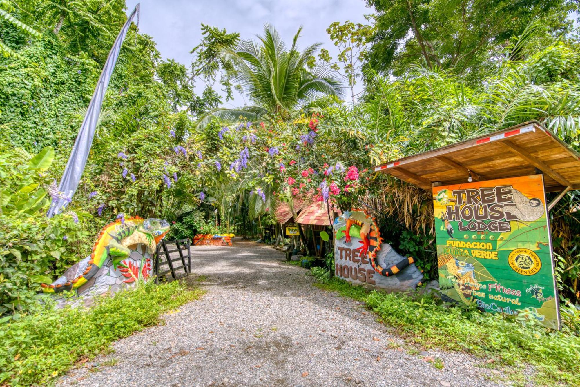 Tree House Lodge Puerto Viejo de Talamanca Exterior foto